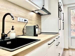 Kuchyňa alebo kuchynka v ubytovaní Apartment Port Jáchymov-2 by Interhome