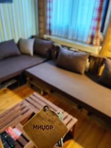 a living room with a couch and a table at Apartment Midzor in Crni Vrh