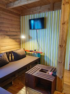 Crni Vrh的住宿－Apartment Midzor，一间设有床铺和墙上电视的房间