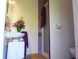 un baño con lavabo e inodoro en Holiday Home Gîte du Linon by Interhome, en Évran
