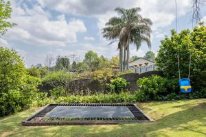 an empty trampoline in a yard with a swing at Bergview Apartments in Hilton +6 photos
