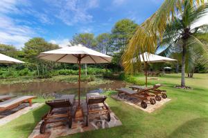 阿漢伽馬的住宿－Nirbana Retreat，一个带椅子和遮阳伞的庭院和一个池塘