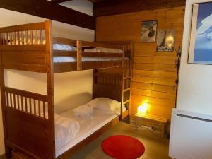 1 Schlafzimmer mit 2 Etagenbetten in einer Hütte in der Unterkunft Apartment Clos du Chantey Moury by Interhome in Chamonix-Mont-Blanc