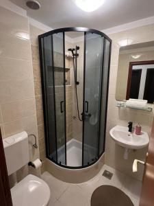 een badkamer met een douche, een toilet en een wastafel bij Apartments Mateljak in Gradac