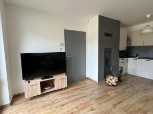 Kuchyň nebo kuchyňský kout v ubytování Apartmán U lesa