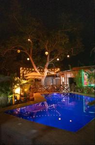 a swimming pool at night with lights at Barn Hostel in Panglao