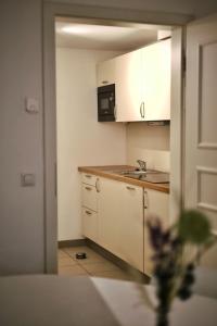 eine Küche mit weißen Schränken und einem Waschbecken in der Unterkunft Pößnecker Werkstätten - Alte Bäckerei in Pößneck