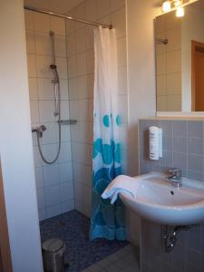 een badkamer met een wastafel en een douche bij A&S Ferienzentrum Schwerin in Schwerin
