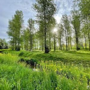 Vonkajšia záhrada v ubytovaní Chalet Relax