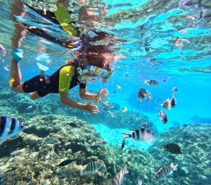 Kép Tahiti Private Catamaran szállásáról Papeete-ben a galériában