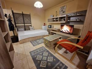 a living room with a bed and a fireplace at Ana Studio in Hunedoara