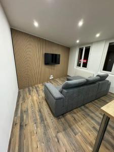 sala de estar con sofá y TV de pantalla plana en Appartement cosy, en Roussillon en Isère