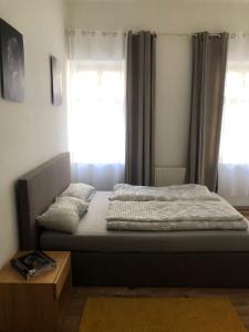 Un dormitorio con una cama y una ventana con cortinas. en Nette Wohnung in der Altstadt 2, en Cheb