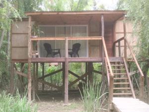 Cabaña Isla Coco في تيغري: منزل على شجرة مع كرسيين وسلم