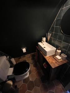 a bathroom with a white toilet and a sink at Attic Monkeys Lodge in Amsterdam