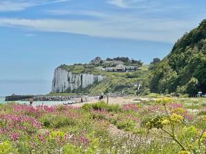 a group of people on a beach with pink flowers at Shalom - holiday home with panoramic views of the sea in Kingsdown