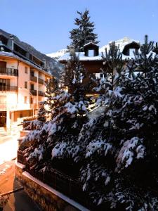 a group of trees covered in snow next to a building at Lo Scoiattol House in Limone Piemonte