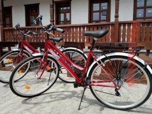 dos bicicletas están estacionadas una al lado de la otra en 100 Éves Vendégház - Háromhuta, en Háromhuta