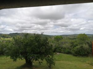 a tree in the middle of a field at Cabaña Jacarandá in Villa Serrana +4 photos