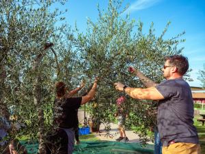 Hosté ubytování Glamping Diacceroni