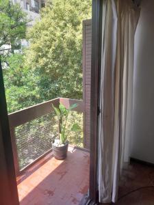 een open deur naar een balkon met een potplant bij Hermoso dpto centrico externo c/ balcones in Cordoba