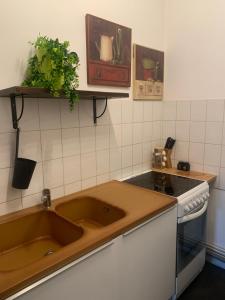 uma cozinha com um lavatório e um fogão em Apparemment Cosy Cathédrale em Metz