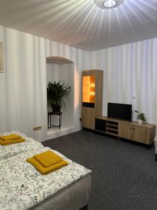 Gallery image of Ubytování u Štádlíků in Velvary