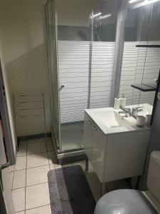 een badkamer met een douche, een wastafel en een toilet bij Jacuzzi au cœur de Bordeaux in Bordeaux