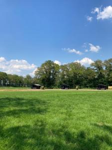 ein großes Grasfeld mit Bäumen im Hintergrund in der Unterkunft Holiday Hut in Bornerbroek