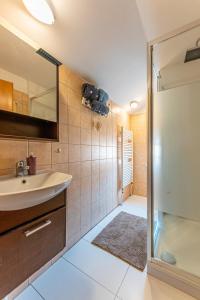 Koupelna v ubytování Apartmán Lobeč