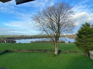 un arbre dans un champ à côté d'un lac dans l'établissement Portinaghy House, à Scairbh na gCaorach