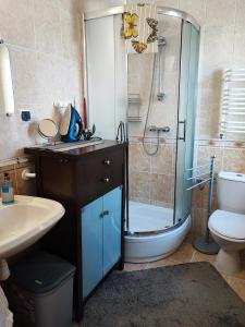 a bathroom with a shower and a sink and a toilet at Dom wczasowy - Ferienwohnung in Ustka
