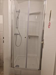 a shower with a glass door in a bathroom at Gent Apt in Vienna