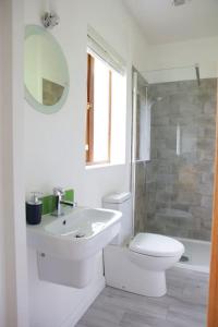 uma casa de banho branca com um WC e um lavatório em Spacious modern one bedroom apartment em Galway