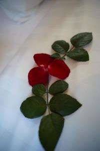 Foto dalla galleria di NT Elysian hotel a Hanoi