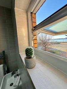 a bathroom with a potted plant sitting next to a window at Entire Town House In Liverpool Marina in Liverpool