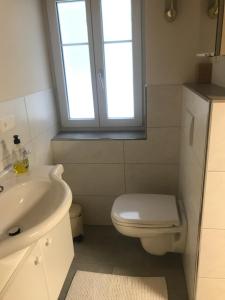 een badkamer met een toilet, een wastafel en een raam bij Bijou 2 hübsche 1 Zimmer Wohnung in Herisau