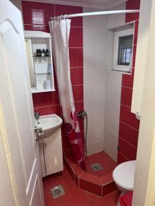 ein rotes Badezimmer mit einer Dusche und einem WC in der Unterkunft Vikendica Martinović in Divčibare