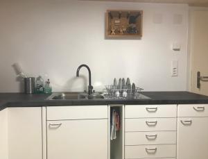 Kuchyň nebo kuchyňský kout v ubytování Bijou 2 hübsche 1 Zimmer Wohnung