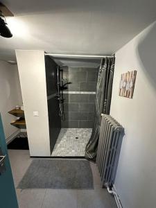 a bathroom with a shower and a walk in shower at Studio indépendant avec jardin in Tours