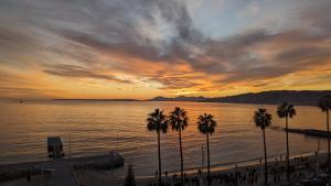 ジュアン・レ・パンにあるSuperbe appartement vue mer panoramiqueの海岸のヤシの木と水上の夕日