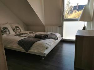 1 dormitorio con cama y ventana grande en Le Carré Alsacien en Sélestat
