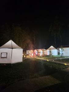 a group of tents in a field at night at Kayak Glamping in Pondokbungur