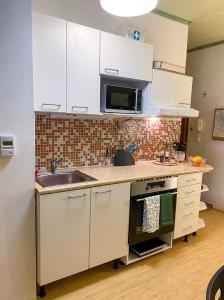 Kuchyňa alebo kuchynka v ubytovaní Pension 311 Vrchlabí