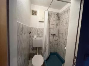 a small bathroom with a toilet and a shower at Apartment R41 in Essen