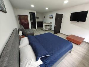 TV a/nebo společenská místnost v ubytování HOTEL SALITRE STAR