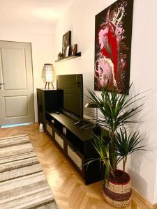 a living room with a black entertainment center with a plant at Apartament Universitate UMFST in Târgu-Mureş