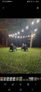 two benches in a field at night with lights at Casa de vacaciones in Dos de Mayo