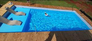 an overhead view of a person swimming in a swimming pool at Casa de vacaciones in Dos de Mayo