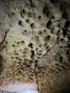 Φωτογραφία από το άλμπουμ του GITE LA GROTTE VALLEE σε Aoûtouss